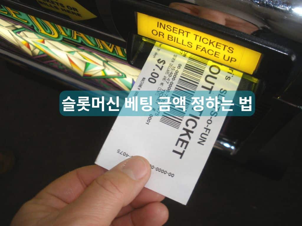 슬롯머신 베팅 금액을 정하기 전 티켓을 넣는 장면