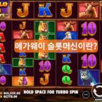 메가웨이 슬롯머신이란?