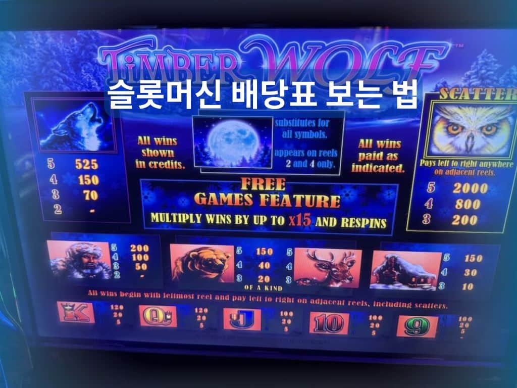 슬롯머신 배당표와 심볼별 배당 기준 화면