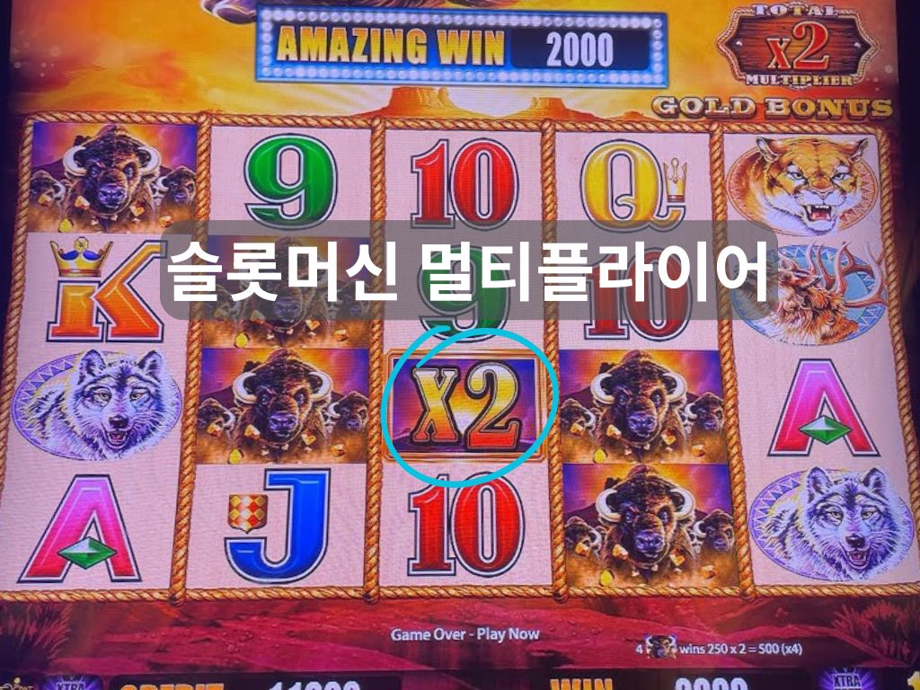 슬롯머신 멀티플라이어가 2배로 표시된 슬롯 화면