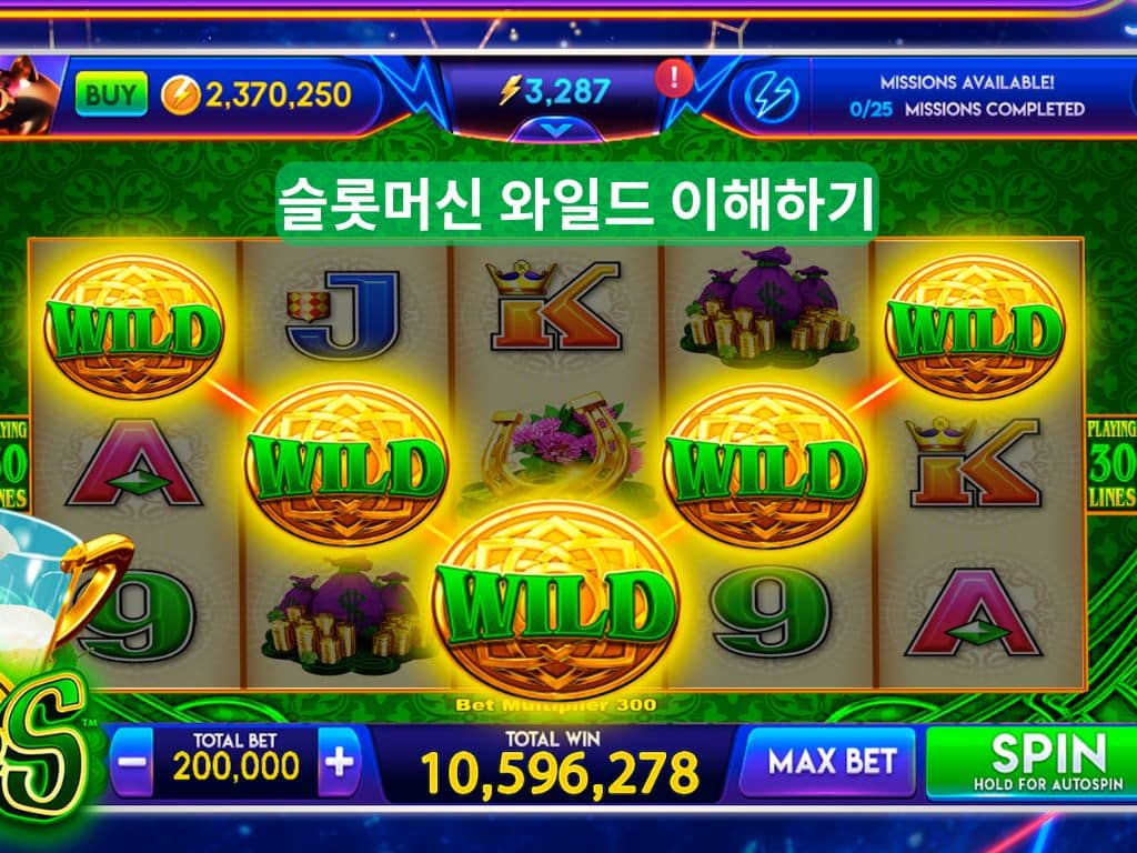 슬롯머신 와일드 심볼의 뜻과 역할을 보여주는 대표 이미지