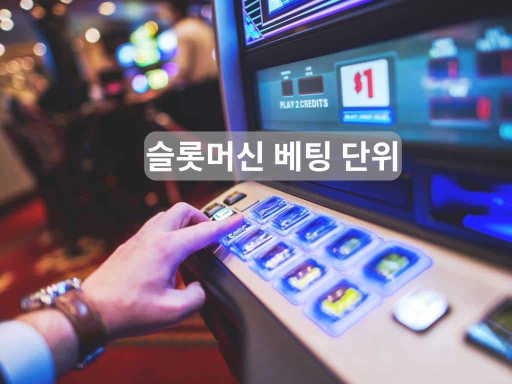 슬롯머신 베팅 단위 이해하기
